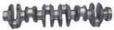 Gear- Crankshaft